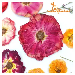 پک پرس شده گل خشک( ۵۰ عددی) - فروشگاه گل خشک سنجاقک