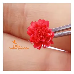 غنچه بابونه وحشی وارداتی (۱۰ عددی) - فروشگاه گل خشک سنجاقک