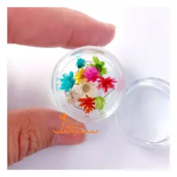 غنچه بابونه وحشی وارداتی (۱۰ عددی) - فروشگاه گل خشک سنجاقک