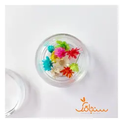 غنچه بابونه وحشی وارداتی (۱۰ عددی) - فروشگاه گل خشک سنجاقک