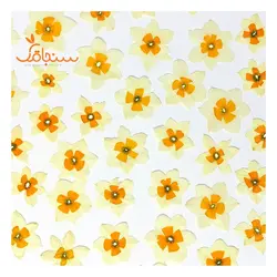 گل نرگس پرس شده(۵ عددی) - فروشگاه گل خشک سنجاقک