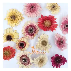 گلهای رایگان درجه۳ - فروشگاه گل خشک سنجاقک