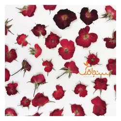 گلهای رایگان درجه۳ - فروشگاه گل خشک سنجاقک