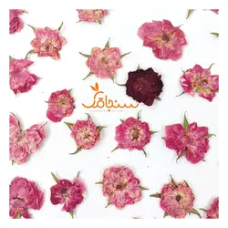 گلهای رایگان درجه۳ - فروشگاه گل خشک سنجاقک