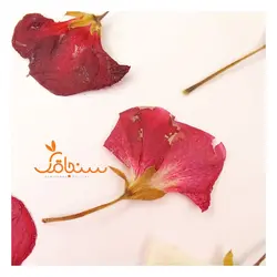 گلهای رایگان درجه۳ - فروشگاه گل خشک سنجاقک