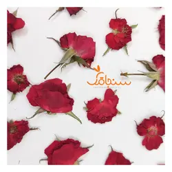 گلهای رایگان درجه۳ - فروشگاه گل خشک سنجاقک