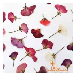 گلهای رایگان درجه۳ - فروشگاه گل خشک سنجاقک