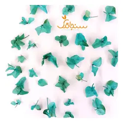 گلهای رایگان درجه۳ - فروشگاه گل خشک سنجاقک