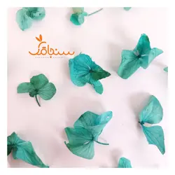 گلهای رایگان درجه۳ - فروشگاه گل خشک سنجاقک