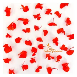 گلهای رایگان درجه۳ - فروشگاه گل خشک سنجاقک