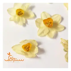 گلهای رایگان درجه۳ - فروشگاه گل خشک سنجاقک