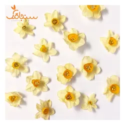 گلهای رایگان درجه۳ - فروشگاه گل خشک سنجاقک