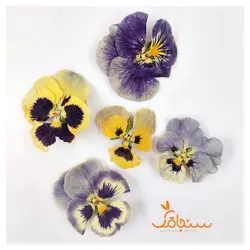 گلهای رایگان درجه۳ - فروشگاه گل خشک سنجاقک