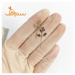 برگ مروارید(۱۰ عددی) - فروشگاه گل خشک سنجاقک