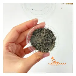 شن و ماسه - فروشگاه گل خشک سنجاقک