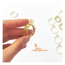 فریم انار برنجی نیمه براق - فروشگاه گل خشک سنجاقک