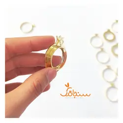 فریم انار برنجی نیمه براق - فروشگاه گل خشک سنجاقک