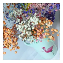 دسته گل بزرگ ژیپسوفیلا - فروشگاه گل خشک سنجاقک