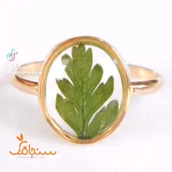 سرخس جنگلی - فروشگاه گل خشک سنجاقک