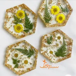 سرخس جنگلی - فروشگاه گل خشک سنجاقک