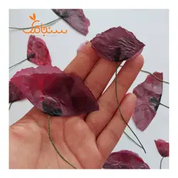 شقایق قرمز(بسته ۵ عددی) - فروشگاه گل خشک سنجاقک