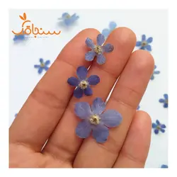 شکوفه آبی پنج‌پر(بسته‌ی ۵ تایی) - فروشگاه گل خشک سنجاقک