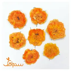 ساناز پرس شده نارنجی(۵ عددی) - فروشگاه گل خشک سنجاقک