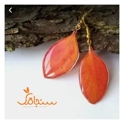 برگ زرشک زینتی(۱۰ عددی) - فروشگاه گل خشک سنجاقک
