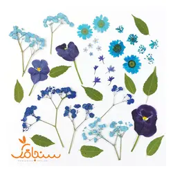 پک پرس شده رنگ آبی - فروشگاه گل خشک سنجاقک