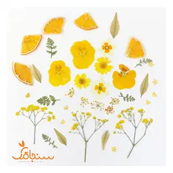 پک پرس شده رنگ زرد - فروشگاه گل خشک سنجاقک