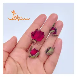 غنچه رز زرشکی(بسته ۱۰ عددی) - فروشگاه گل خشک سنجاقک