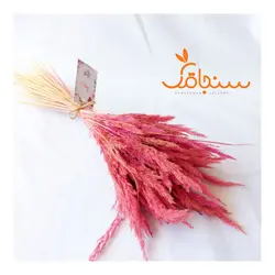 دسته گل قمیش - فروشگاه گل خشک سنجاقک