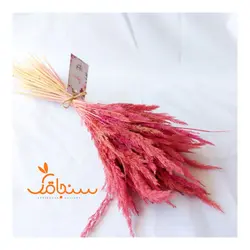 دسته گل قمیش - فروشگاه گل خشک سنجاقک