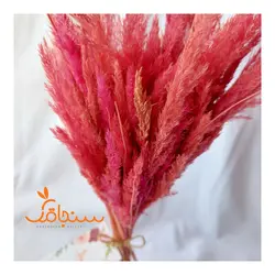 دسته گل قمیش - فروشگاه گل خشک سنجاقک