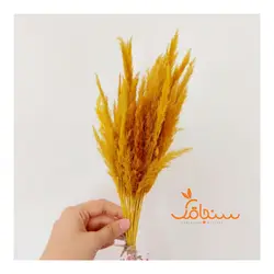 دسته گل قمیش - فروشگاه گل خشک سنجاقک