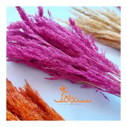 دسته گل قمیش - فروشگاه گل خشک سنجاقک