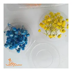 ژیپسوفیلا(بسته ای) - فروشگاه گل خشک سنجاقک
