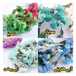 گل استاتیس(لیمونیوم)بسته‌ای - فروشگاه گل خشک سنجاقک