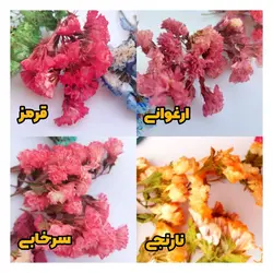 گل استاتیس(لیمونیوم)بسته‌ای - فروشگاه گل خشک سنجاقک