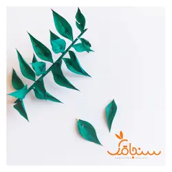پک برگ جز - فروشگاه گل خشک سنجاقک