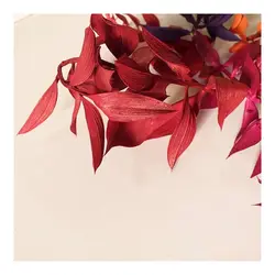 پک برگ جز - فروشگاه گل خشک سنجاقک