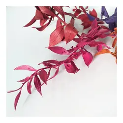 پک برگ جز - فروشگاه گل خشک سنجاقک