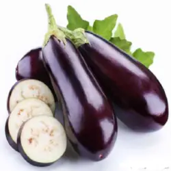 بادمجان