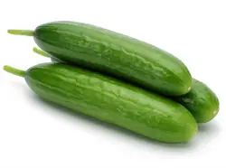 خیار درختی