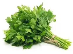 سبزی جعفری