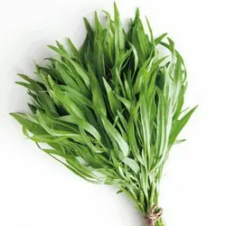 سبزی ترخون