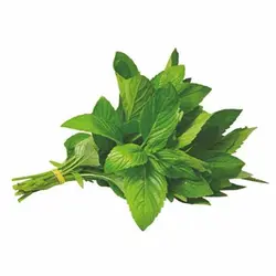 سبزی ریحان