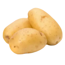 سیب زمینی