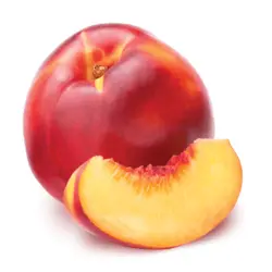 شلیل