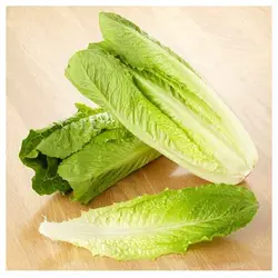 کاهو